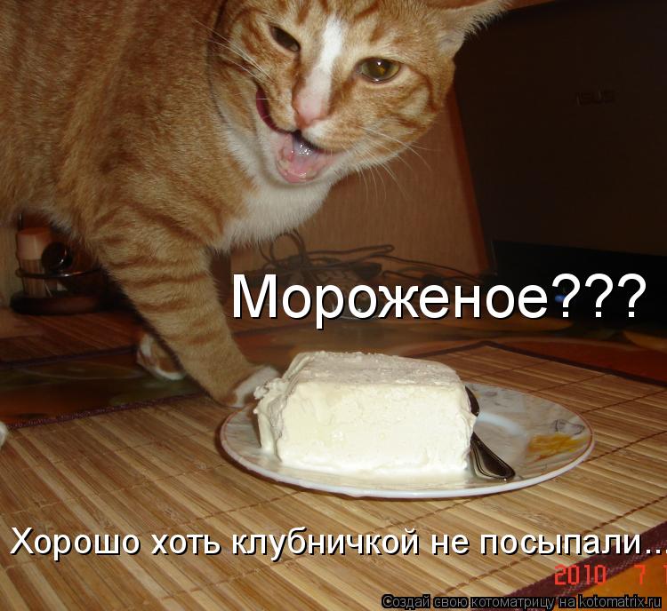 Мороженое??? Хорошо хоть клубничкой не посыпали...... Котоматрица: Мороженое??? Хорошо хоть клубничкой не посыпали...
