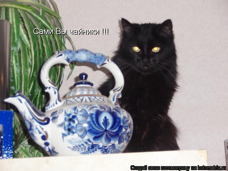 Сами Вы чайники !!!... Котоматрица: Сами Вы чайники !!!