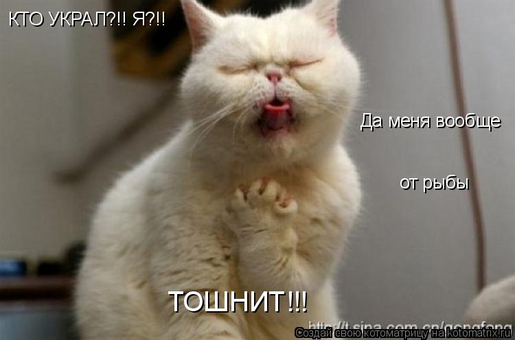 КТО УКРАЛ?!! Я?!! Да меня вообще от рыбы ТОШНИТ!!!... Котоматрица: КТО УКРАЛ?!! Я?!! Да меня вообще от рыбы ТОШНИТ!!!