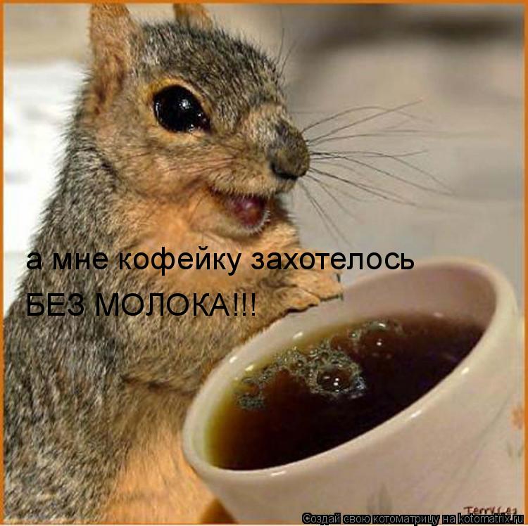 а мне кофейку захотелось БЕЗ МОЛОКА!!!... Котоматрица: а мне кофейку захотелось БЕЗ МОЛОКА!!!