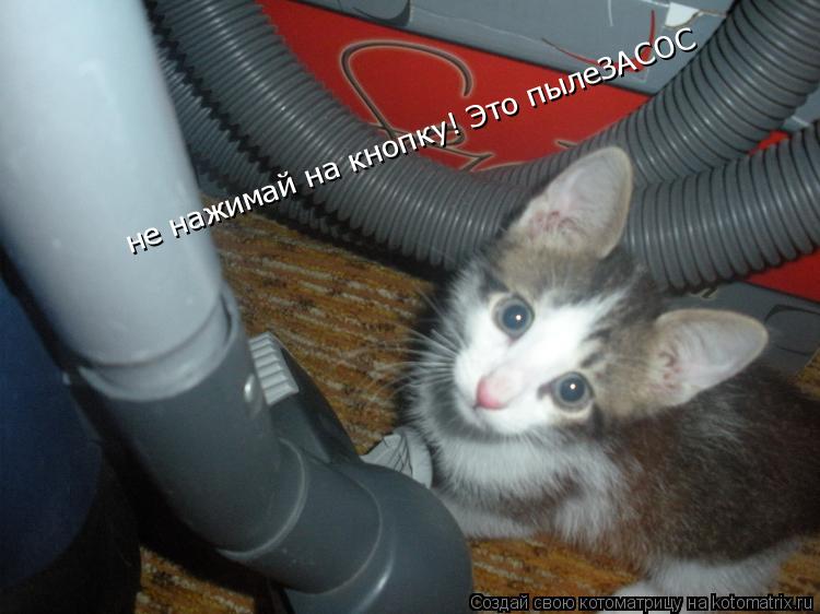 не нажимай на кнопку! Это пылеЗАСОС... Котоматрица: не нажимай на кнопку! Это пылеЗАСОС