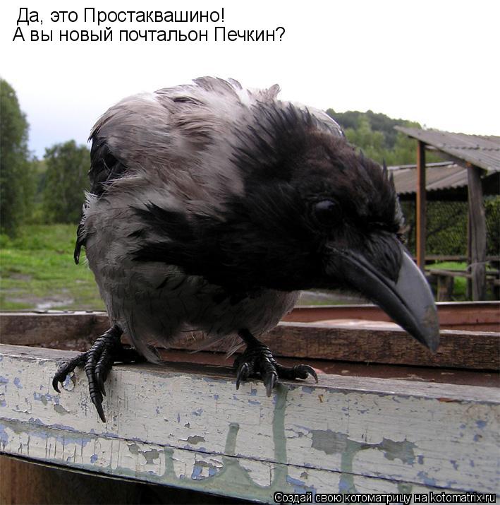 Да, это Простаквашино! А вы новый почтальон Печкин?... Котоматрица: Да, это Простаквашино! А вы новый почтальон Печкин?