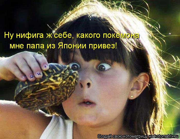 Ну нифига ж себе, какого покемона мне папа из Японии привез!... Котоматрица: Ну нифига ж себе, какого покемона мне папа из Японии привез!
