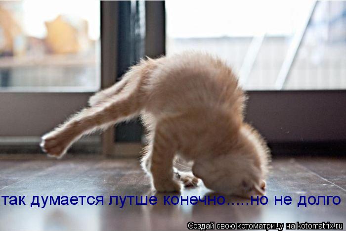 так думается лутше конечно.....но не долго... Котоматрица: так думается лутше конечно.....но не долго