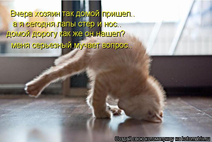Вчера хозяин так домой пришел.. а я сегодня лапы стер и нос.. домой дорогу как же он нашел? меня сер... Котоматрица: Вчера хозяин так домой пришел.. а я сегодня лапы стер и нос.. домой дорогу как же он нашел? меня серьезный мучает вопрос..