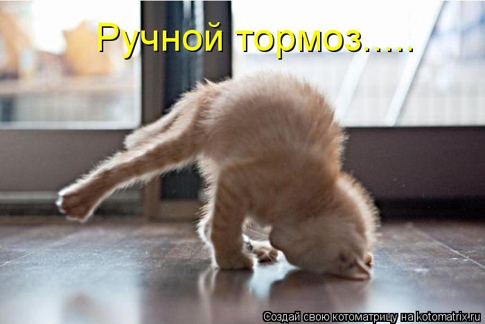 Ручной тормоз........ Котоматрица: Ручной тормоз.....