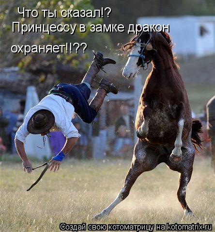 Что ты сказал!? Принцессу в замке дракон охраняет!!??... Котоматрица: Что ты сказал!? Принцессу в замке дракон охраняет!!??