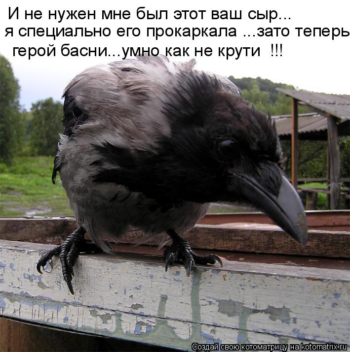 И не нужен мне был этот ваш сыр... я специально его прокаркала ...зато теперь герой басни...умно как... Котоматрица: И не нужен мне был этот ваш сыр... я специально его прокаркала ...зато теперь герой басни...умно как не крути !!!