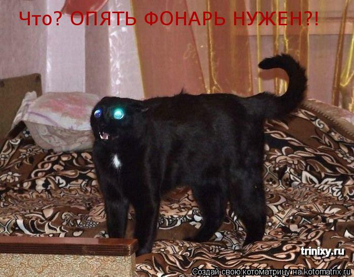 Что? Что? Что? ОПЯТЬ ФОНАРЬ НУЖЕН?!... Котоматрица: Что? Что? Что? ОПЯТЬ ФОНАРЬ НУЖЕН?!