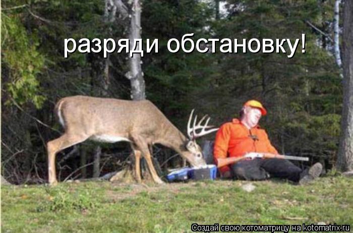 разряди обстановку!... Котоматрица: разряди обстановку!