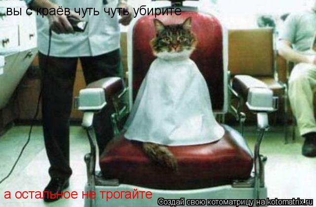 вы с краёв чуть чуть убирите а остальное не трогайте... Котоматрица: вы с краёв чуть чуть убирите а остальное не трогайте