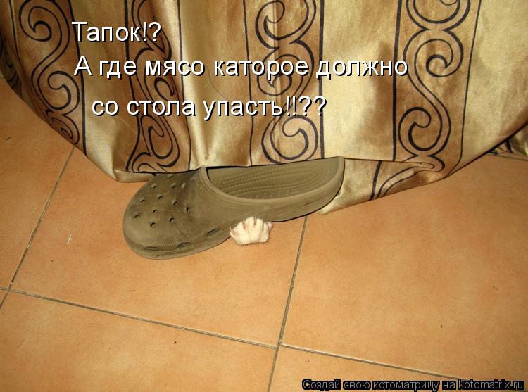 Тапок!? А где мясо каторое должно со стола упасть!!??... Котоматрица: Тапок!? А где мясо каторое должно со стола упасть!!??