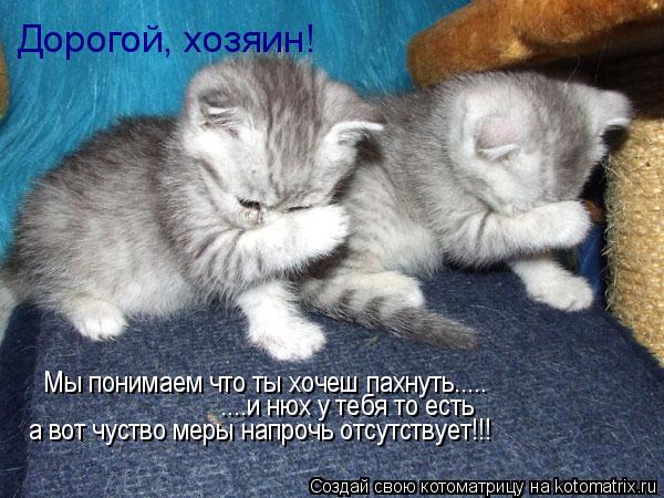 Дорогой, хозяин! Мы понимаем что ты хочеш пахнуть..... ....и нюх у тебя то есть а вот чуство меры на... Котоматрица: Дорогой, хозяин! Мы понимаем что ты хочеш пахнуть..... ....и нюх у тебя то есть а вот чуство меры напрочь отсутствует!!!