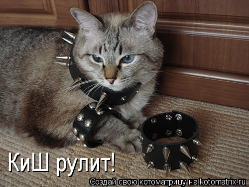 КиШ рулит!... Котоматрица: КиШ рулит!