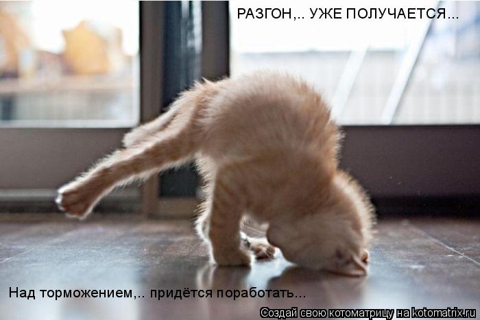 РАЗГОН,.. УЖЕ ПОЛУЧАЕТСЯ... Над торможением,.. придётся поработать...... Котоматрица: РАЗГОН,.. УЖЕ ПОЛУЧАЕТСЯ... Над торможением,.. придётся поработать...