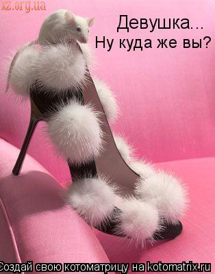 Девушка... Ну куда же вы?... Котоматрица: Девушка... Ну куда же вы?