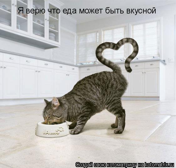 Я верю что еда может быть вкусной... Котоматрица: Я верю что еда может быть вкусной