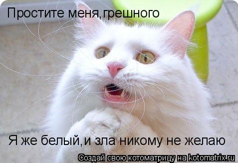 Простите меня,грешного Я же белый,и зла никому не желаю... Котоматрица: Простите меня,грешного Я же белый,и зла никому не желаю