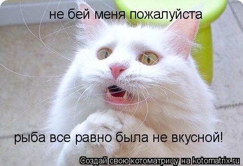 не бей меня пожалуйста рыба все равно была не вкусной!... Котоматрица: не бей меня пожалуйста рыба все равно была не вкусной!