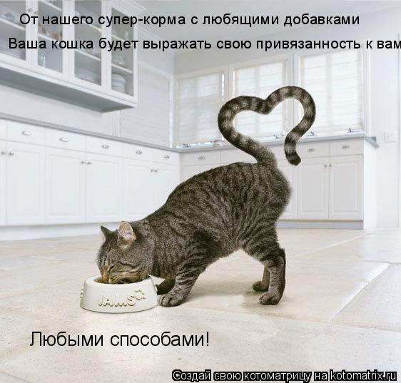 От нашего супер-корма с любящими добавками Ваша кошка будет выражать свою привязанность к вам Любыми ... Котоматрица: От нашего супер-корма с любящими добавками Ваша кошка будет выражать свою привязанность к вам Любыми способами!