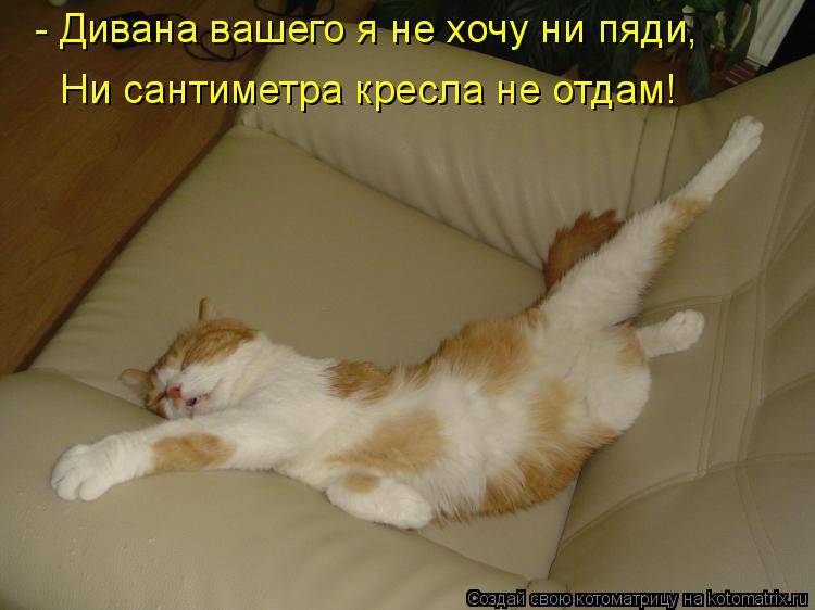 Котоматрица: - Дивана вашего я не хочу ни пяди, Ни сантиметра кресла не отдам!