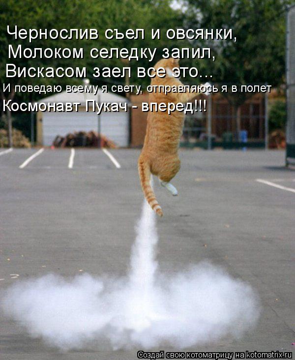 Чернослив съел и овсянки, Молоком селедку запил, Вискасом заел все это... И поведаю всему я свету, от... Котоматрица: Чернослив съел и овсянки, Молоком селедку запил, Вискасом заел все это... И поведаю всему я свету, отправляюсь я в полет Космонавт Пукач - впе