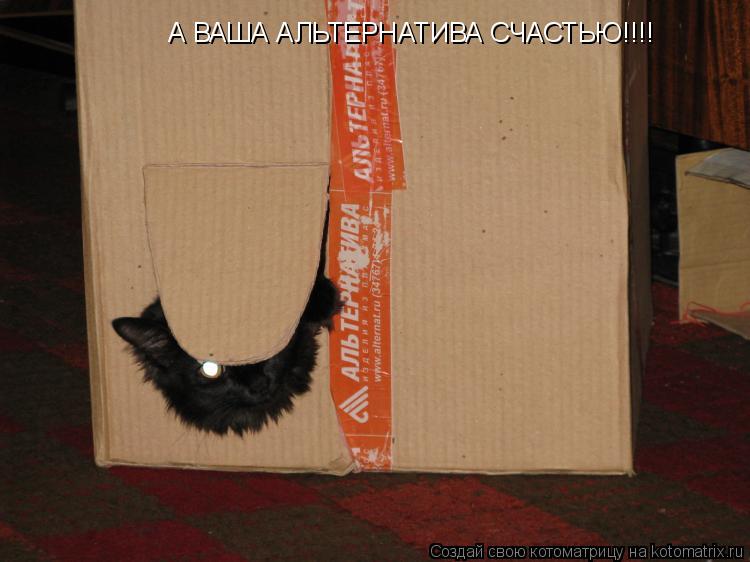 А ВАША АЛЬТЕРНАТИВА СЧАСТЬЮ!!!!... Котоматрица: А ВАША АЛЬТЕРНАТИВА СЧАСТЬЮ!!!!