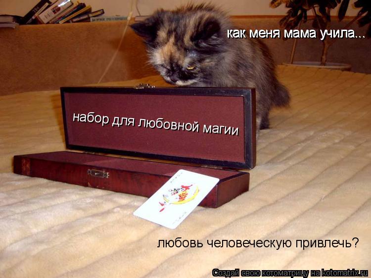 набор для любовной магии как меня мама учила... как меня мама учила... любовь человеческую привлечь?... Котоматрица: набор для любовной магии как меня мама учила... как меня мама учила... любовь человеческую привлечь?