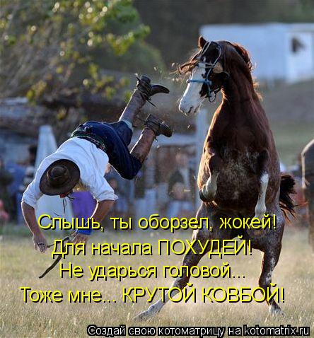 Котоматрица: Слышь, ты оборзел, жокей! Для начала ПОХУДЕЙ! Не ударься головой... Тоже мне... КРУТОЙ КОВБОЙ!