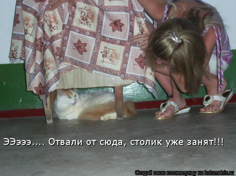 ЭЭэээ.... Отвали от сюда, столик уже занят!!!... Котоматрица: ЭЭэээ.... Отвали от сюда, столик уже занят!!!