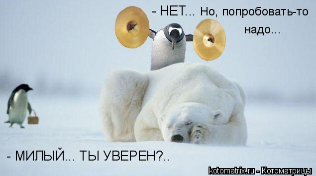- МИЛЫЙ... ТЫ УВЕРЕН?.. - НЕТ... Но, попробовать-то надо...... Котоматрица: - МИЛЫЙ... ТЫ УВЕРЕН?.. - НЕТ... Но, попробовать-то надо...