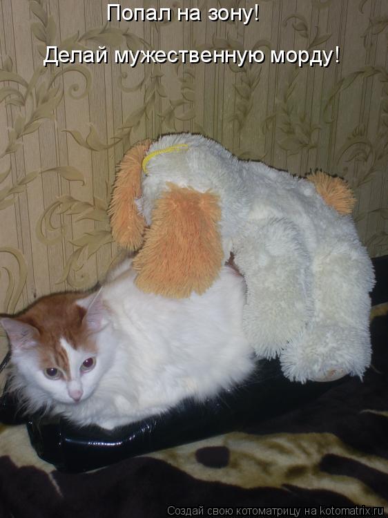 Попал на зону! Делай мужественную морду!... Котоматрица: Попал на зону! Делай мужественную морду!