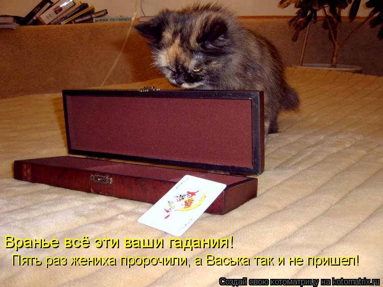 Вранье всё эти ваши гадания! Пять раз жениха пророчили, а Васька так и не пришел!... Котоматрица: Вранье всё эти ваши гадания! Пять раз жениха пророчили, а Васька так и не пришел!