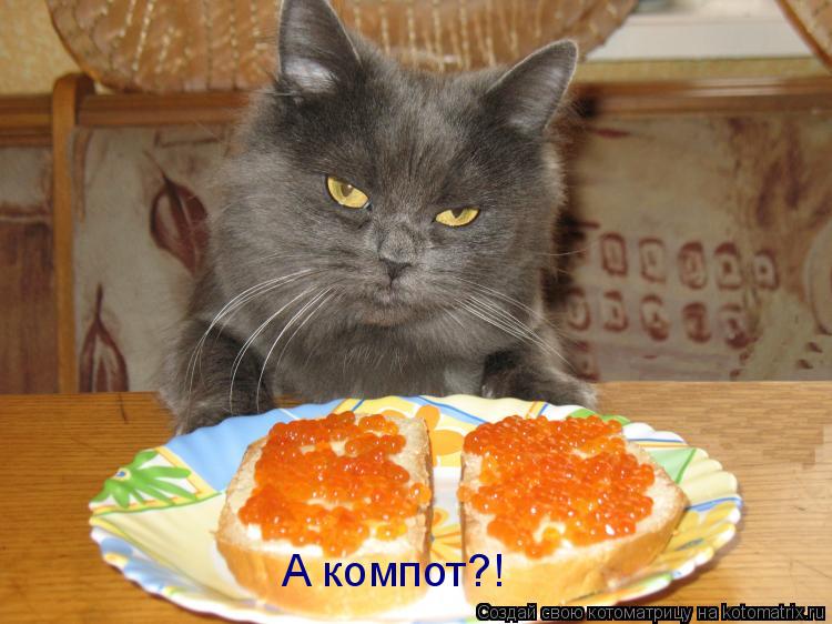А компот?!... Котоматрица: А компот?!