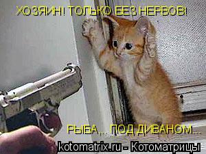 ХОЗЯИН! ТОЛЬКО БЕЗ НЕРВОВ! РЫБА,.. ПОД ДИВАНОМ...... Котоматрица: ХОЗЯИН! ТОЛЬКО БЕЗ НЕРВОВ! РЫБА,.. ПОД ДИВАНОМ...