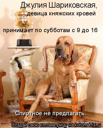 Джулия Шариковская, девица княжских кровей принимает по субботам с 9 до 16 Спиртное не предлагать.... Котоматрица: Джулия Шариковская, девица княжских кровей принимает по субботам с 9 до 16 Спиртное не предлагать.