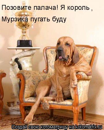 Позовите палача! Я король , Мурзика пугать буду Мурзика пугать буду... Котоматрица: Позовите палача! Я король , Мурзика пугать буду Мурзика пугать буду