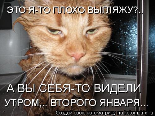 УТРОМ,.. ВТОРОГО ЯНВАРЯ... А ВЫ СЕБЯ-ТО ВИДЕЛИ ЭТО Я-ТО ПЛОХО ВЫГЛЯЖУ?..... Котоматрица: УТРОМ,.. ВТОРОГО ЯНВАРЯ... А ВЫ СЕБЯ-ТО ВИДЕЛИ ЭТО Я-ТО ПЛОХО ВЫГЛЯЖУ?..