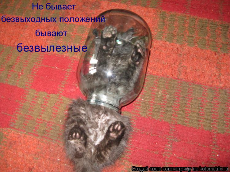 безвыходных положений Не бывает бывают безвылезные... Котоматрица: безвыходных положений Не бывает бывают безвылезные