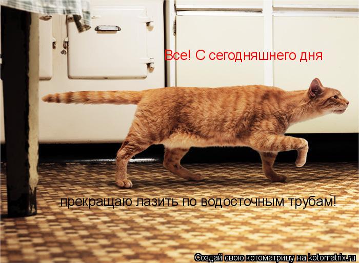 Все! С сегодняшнего дня прекращаю лазить по водосточным трубам!... Котоматрица: Все! С сегодняшнего дня прекращаю лазить по водосточным трубам!