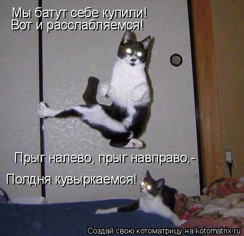 Мы батут себе купили! Вот и расслабляемся! Прыг налево, прыг навправо,- Полдня кувыркаемся!... Котоматрица: Мы батут себе купили! Вот и расслабляемся! Прыг налево, прыг навправо,- Полдня кувыркаемся!