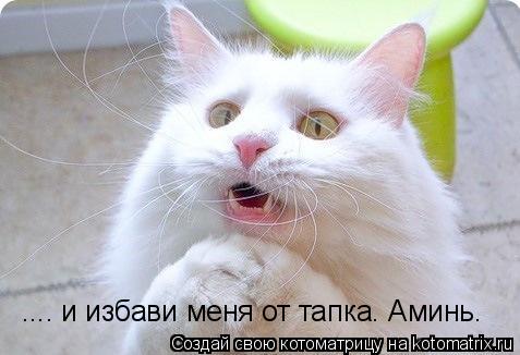 .... и избави меня от тапка. Аминь.... Котоматрица: .... и избави меня от тапка. Аминь.