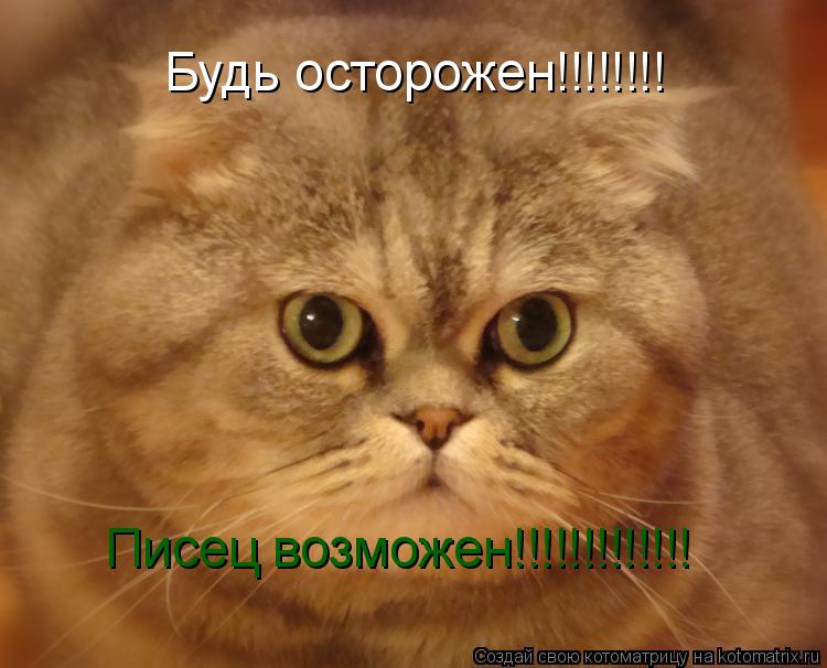 Будь осторожен!!!!!!!! Писец возможен!!!!!!!!!!!!!... Котоматрица: Будь осторожен!!!!!!!! Писец возможен!!!!!!!!!!!!!