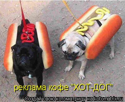 реклама кофе "ХОТ-ДОГ"... Котоматрица: реклама кофе "ХОТ-ДОГ"