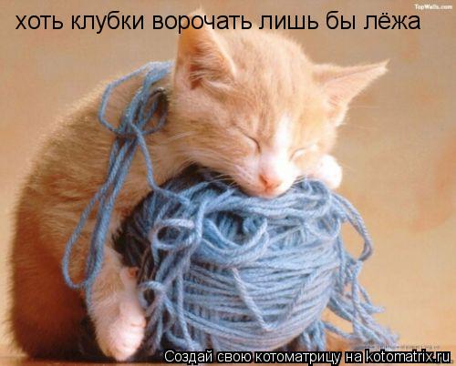 хоть клубки ворочать лишь бы лёжа... Котоматрица: хоть клубки ворочать лишь бы лёжа