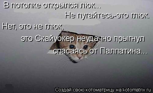 В потолке открылся люк... Не пугайтесь-это глюк. Нет, это не глюк, это Скайуокер неудачно прыгнул сп... Котоматрица: В потолке открылся люк... Не пугайтесь-это глюк. Нет, это не глюк, это Скайуокер неудачно прыгнул спасаясь от Палпатина...