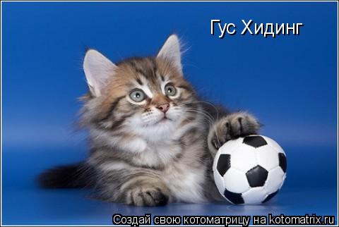 Гус Хидинг... Котоматрица: Гус Хидинг