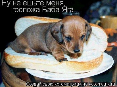 Ну не ешьте меня, госпожа Баба Яга...... Котоматрица: Ну не ешьте меня, госпожа Баба Яга...