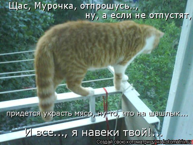 Щас, Мурочка, отпрошусь.., ну, а если не отпустят, придется украсть мясо, ну то, что на шашлык... И в... Котоматрица: Щас, Мурочка, отпрошусь.., ну, а если не отпустят, придется украсть мясо, ну то, что на шашлык... И все..., я навеки твой!...