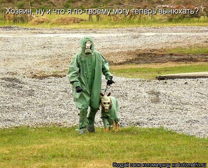 Хозяин, ну и что я по-твоему могу теперь вынюхать?... Котоматрица: Хозяин, ну и что я по-твоему могу теперь вынюхать?